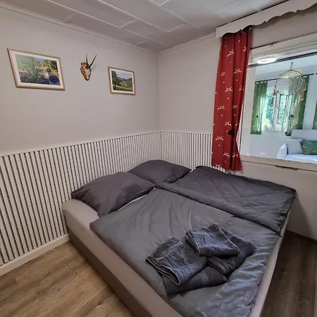 Penzion Ritschel Alm Limbach 3*