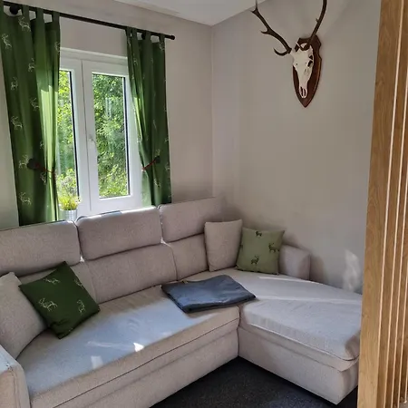Penzion Ritschel Alm Limbach 3*